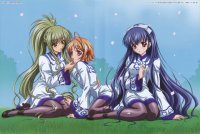 BUY NEW touka gettan - 172739 Premium Anime Print Poster